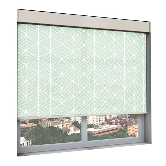 Custom Printed Shades